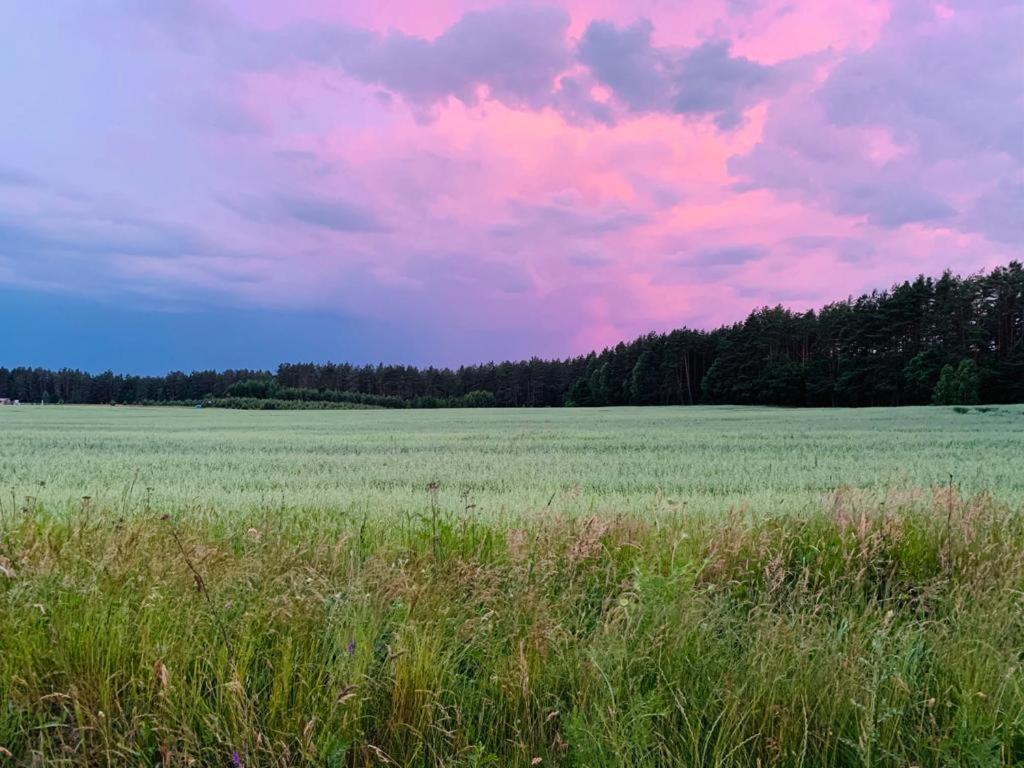 Kaszubka Villa Czarna Dabrowka Bagian luar foto