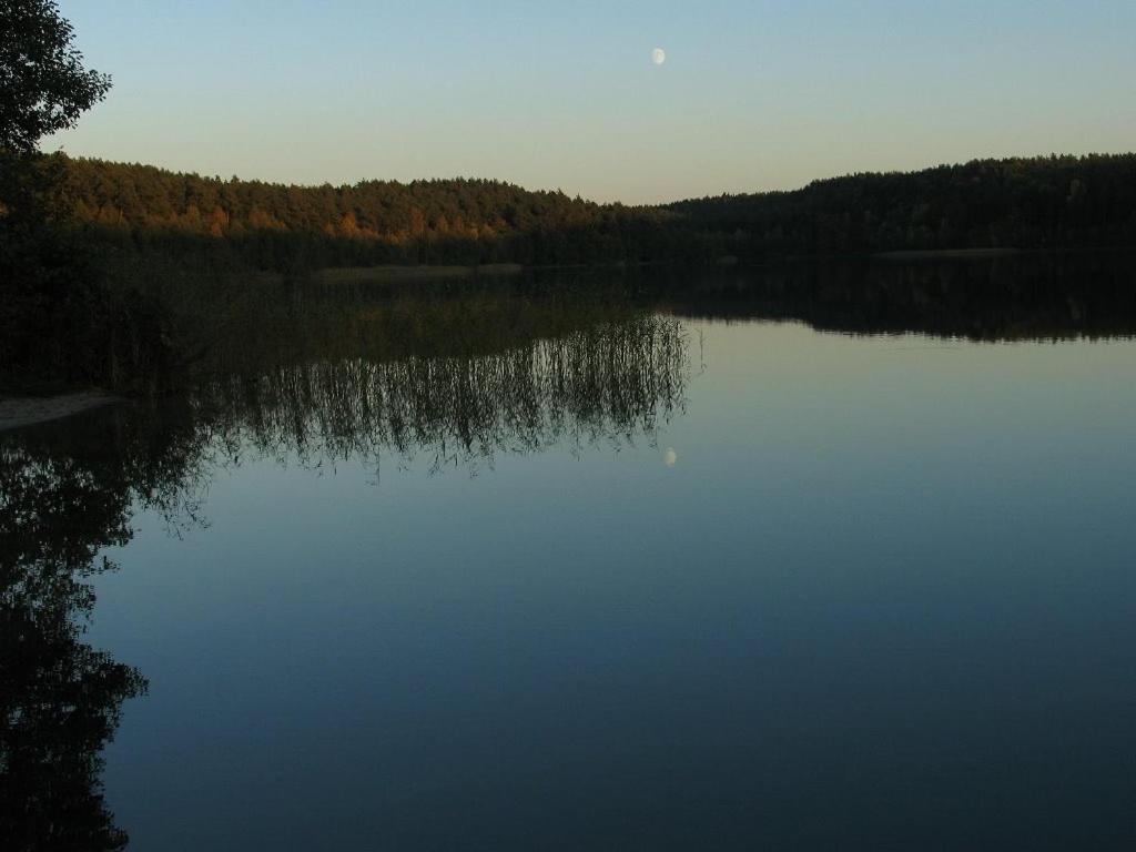 Kaszubka Villa Czarna Dabrowka Bagian luar foto