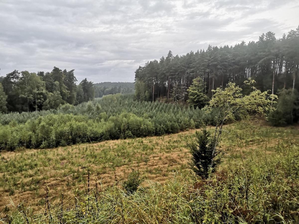 Kaszubka Villa Czarna Dabrowka Bagian luar foto