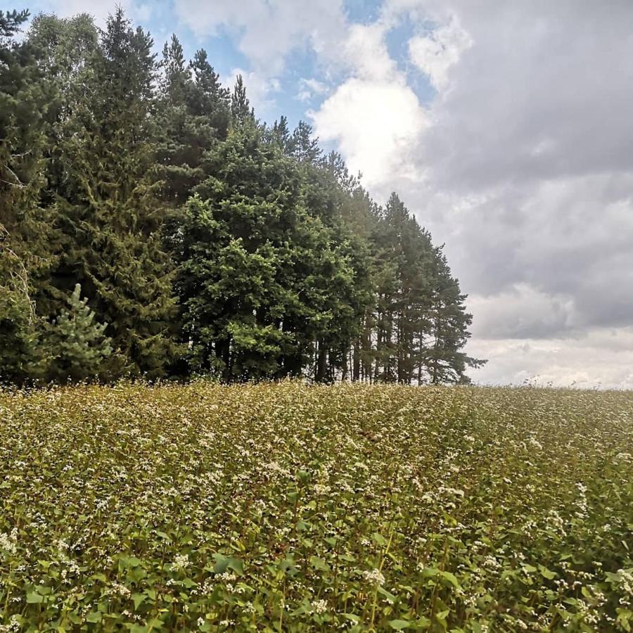 Kaszubka Villa Czarna Dabrowka Bagian luar foto