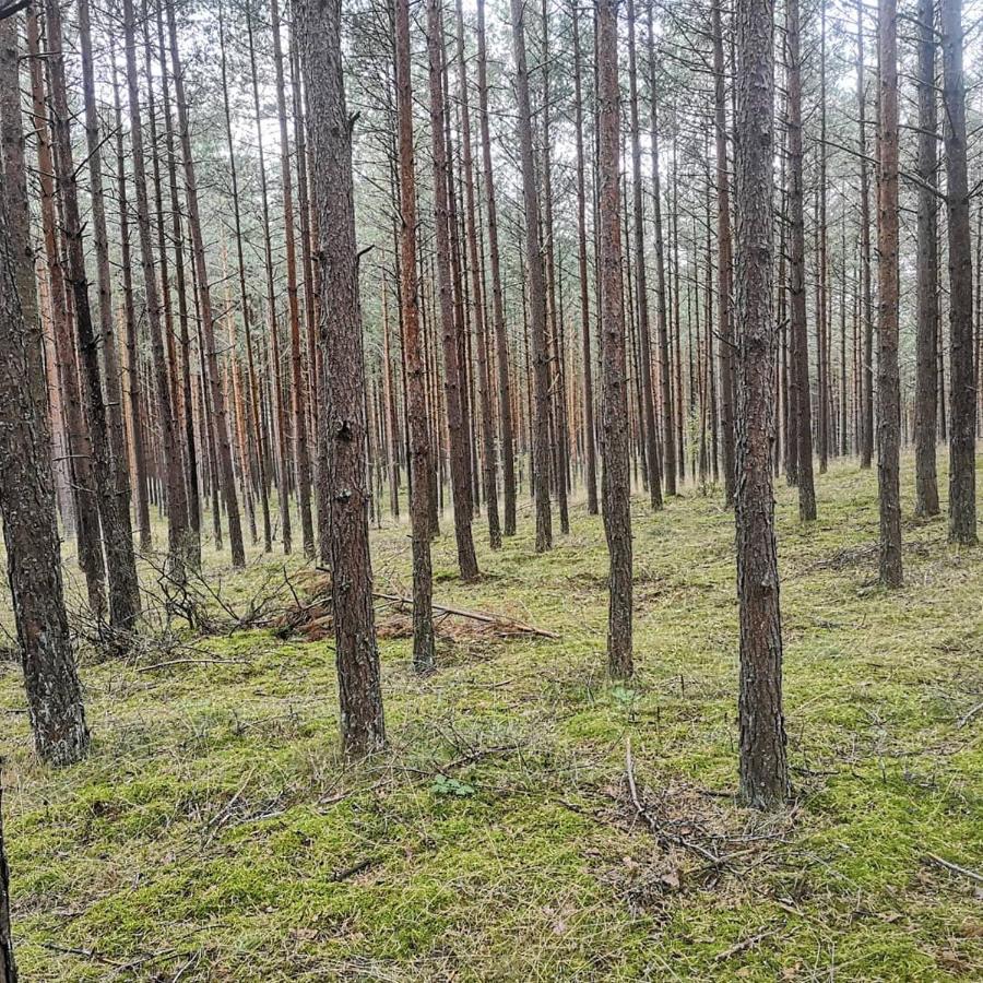 Kaszubka Villa Czarna Dabrowka Bagian luar foto