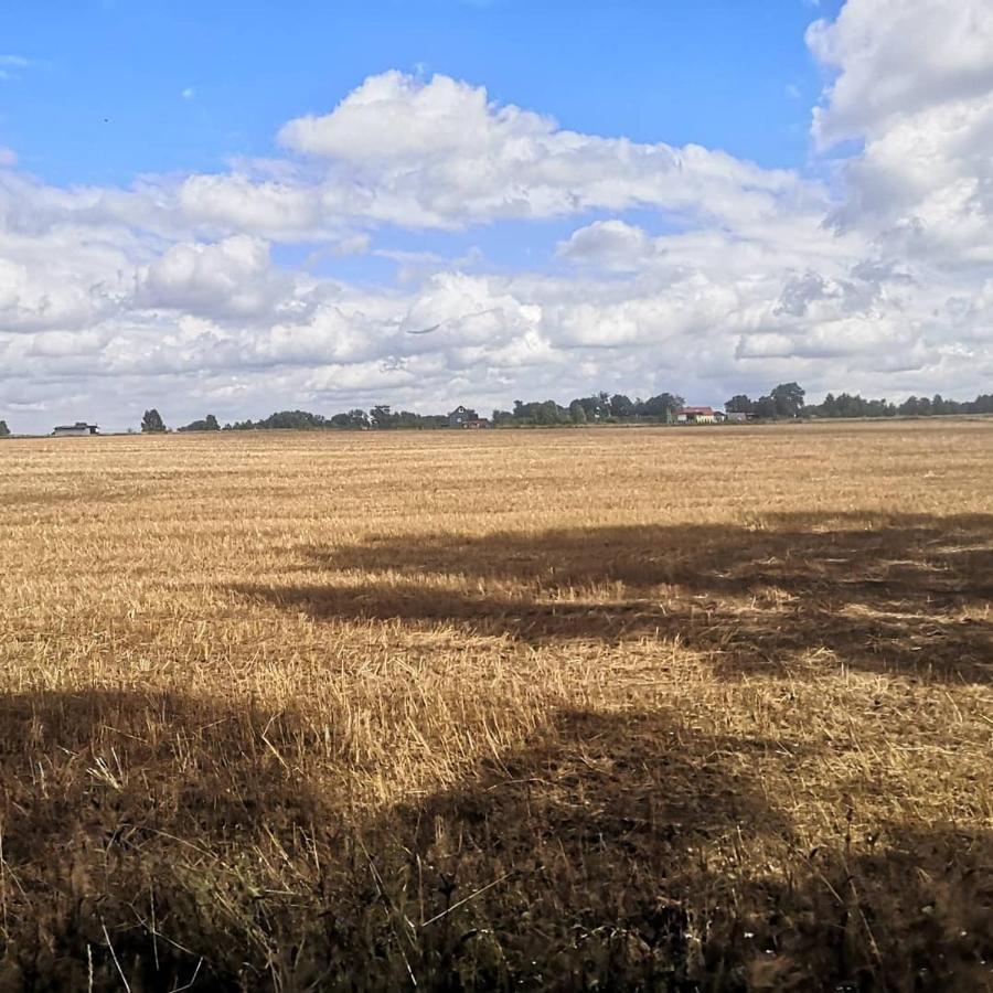 Kaszubka Villa Czarna Dabrowka Bagian luar foto